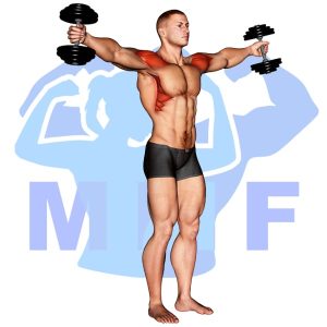 Graphic image of Dumbbell Full Can Lateral Raise.