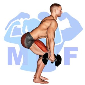 Graphic image of Dumbbell Half Squat.