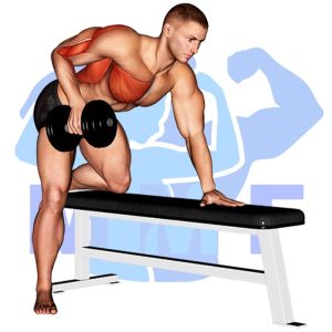 Graphic image of Dumbbell One Arm Rear Deltoid Row.