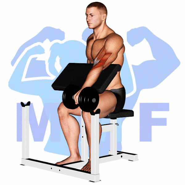 Man Performing Dumbbell One Arm Reverse Preacher Curl