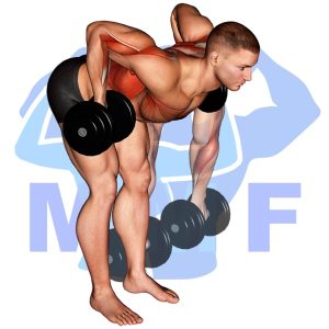 Graphic image of Dumbbell Palm Rotational Bent Over Row.