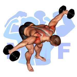 Graphic image of Dumbbell Rear Lateral Raise.
