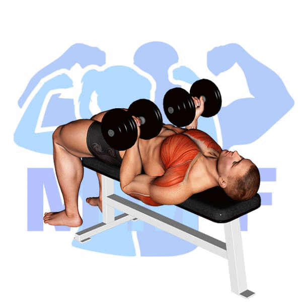 Man Performing Dumbbell Reverse Grip Bench Press