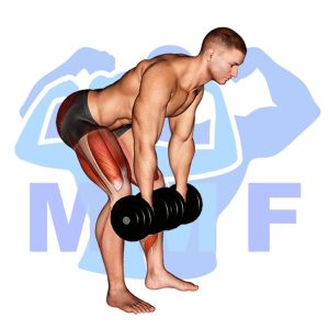 Graphic image of Dumbbell Romanian Deadlift.