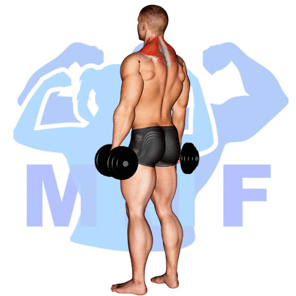 Man Performing Dumbbell Shrug