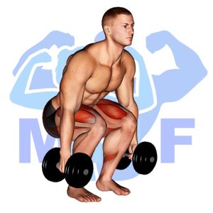 Graphic image of Dumbbell Squat.