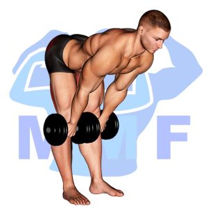 Graphic image of Dumbbell Stiff Leg Deadlift.