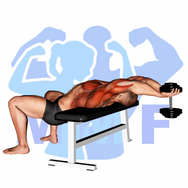Man Performing Dumbbell Straight Arm Pullover