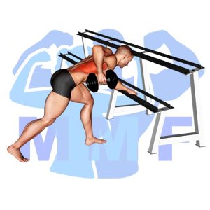 Graphic image of Dumbbell Supported One Arm Row.