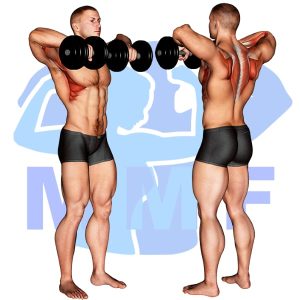 Graphic image of Dumbbell Upright Row.