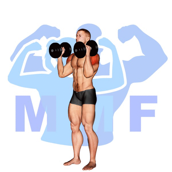 Man Performing Dumbbell W Press