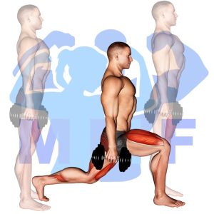 Graphic image of Dumbbell Walking Lunges.