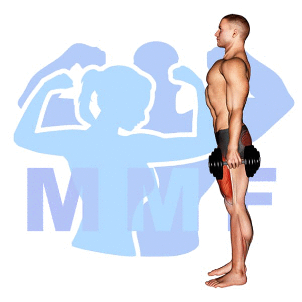 Man Performing Dumbbell Walking Lunges