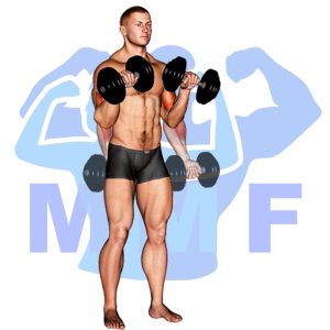 Graphic image of Dumbbell Zottman Curl.
