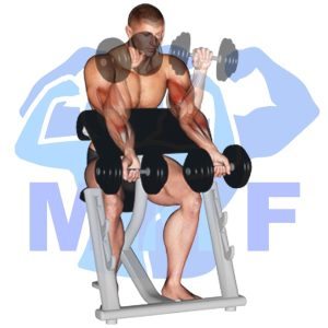Graphic image of Dumbbell Zottman Preacher Curl.