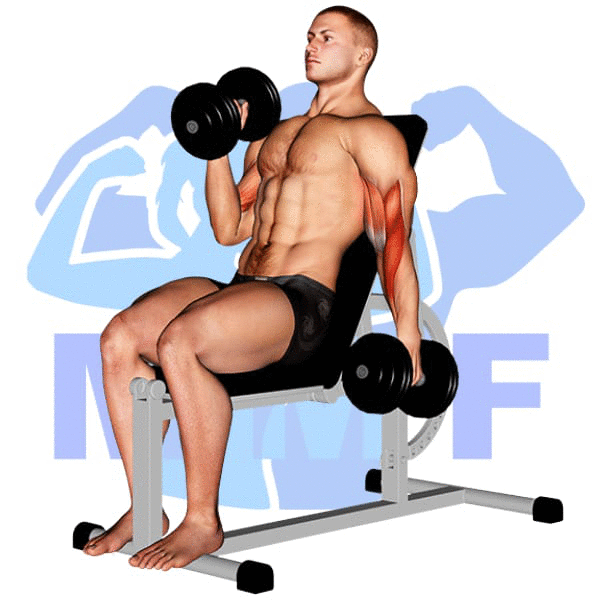 Man Performing Incline Alternating Dumbbell Hammer Curl