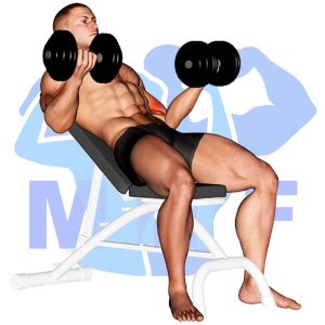 Graphic image of Incline Dumbbell Biceps Curl.