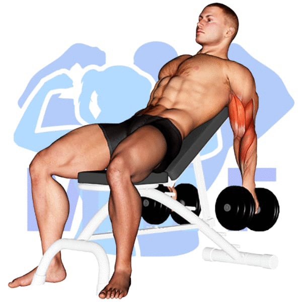 Man Performing Incline Dumbbell Biceps Curl