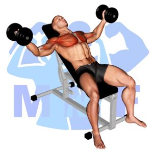 Graphic image of Incline Dumbbell Fly.