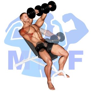 Graphic image of Incline Dumbbell Front Raise.
