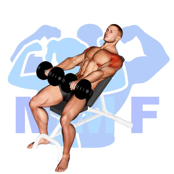 Man Performing Incline Dumbbell Front Raise