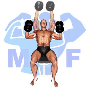 Graphic image of Incline Dumbbell Hammer Press.