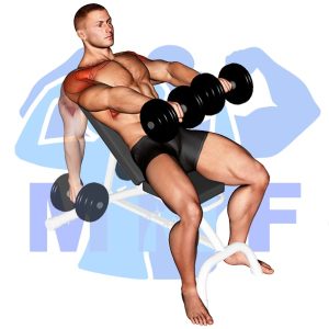 Graphic image of Incline Dumbbell Raise.