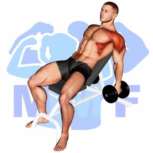 Man Performing Incline Dumbbell Raise