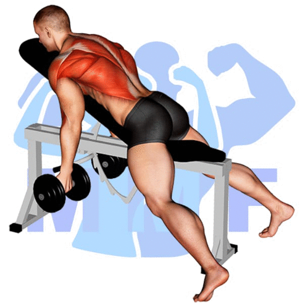 Man Performing Incline Dumbbell Rear Deltoid Row