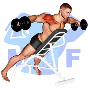 Graphic image of Incline Dumbbell Rear Lateral Raise.