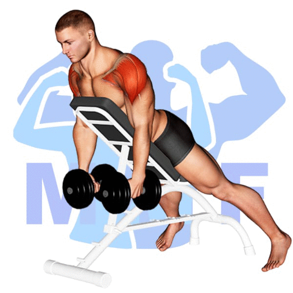 Man Performing Incline Dumbbell Rear Lateral Raise