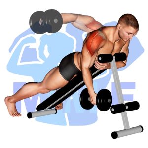 Graphic image of Incline Dumbbell Single Arm Rear Lateral Raise.