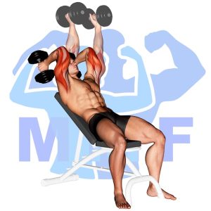 Graphic image of Incline Dumbbell Triceps Extension.