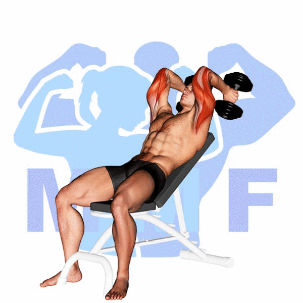 Man Performing Incline Dumbbell Triceps Extension