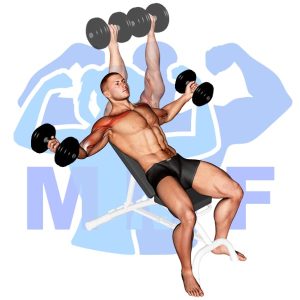 Graphic image of Incline Dumbbell Twisted Flyes.