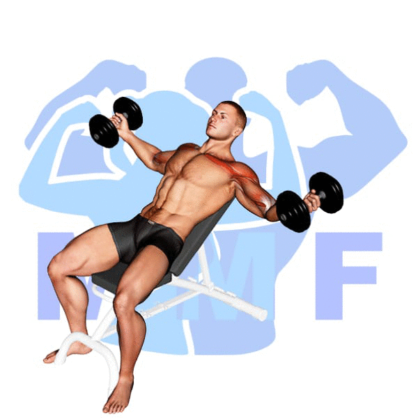 Man Performing Incline Dumbbell Twisted Flyes