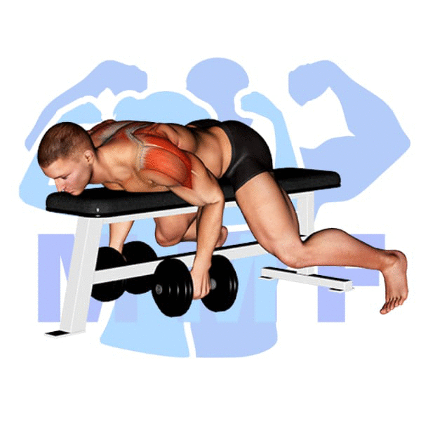 Man Performing Lying Dumbbell Rear Lateral Raise