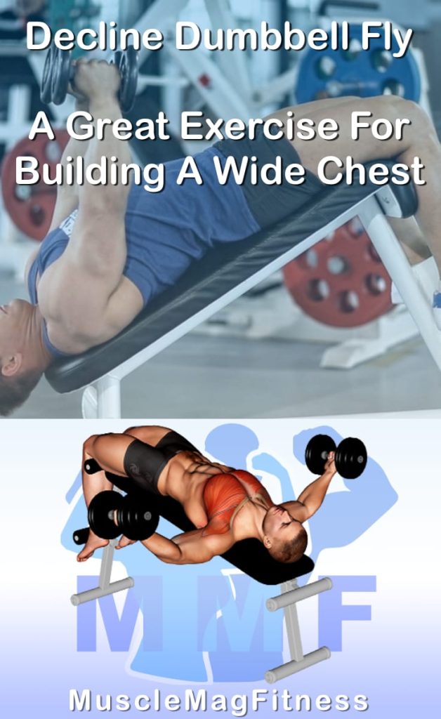 Pin image for decline dumbbell fly post. With an image of a man performing the exercise on Top and a graphic of the exercise on the Bottom.