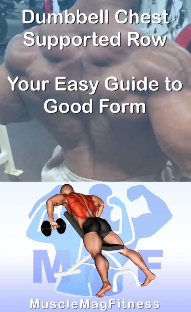 Pin image for dumbbell chest supported row post. With an image of a man performing the exercise on Top and a graphic of the exercise on the Bottom.