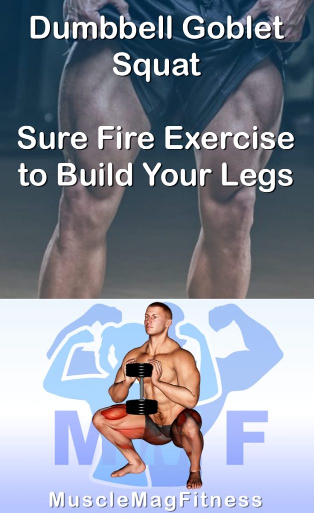 Pin image for dumbbell goblet squat post. With an image of a man performing the exercise on Top and a graphic of the exercise on the Bottom.