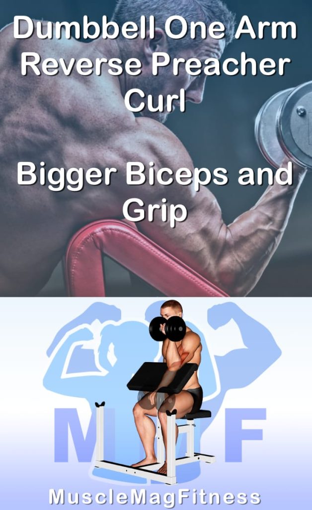Pin image for dumbbell one arm reverse preacher curl post. With an image of a man performing the exercise on Top and a graphic of the exercise on the Bottom.