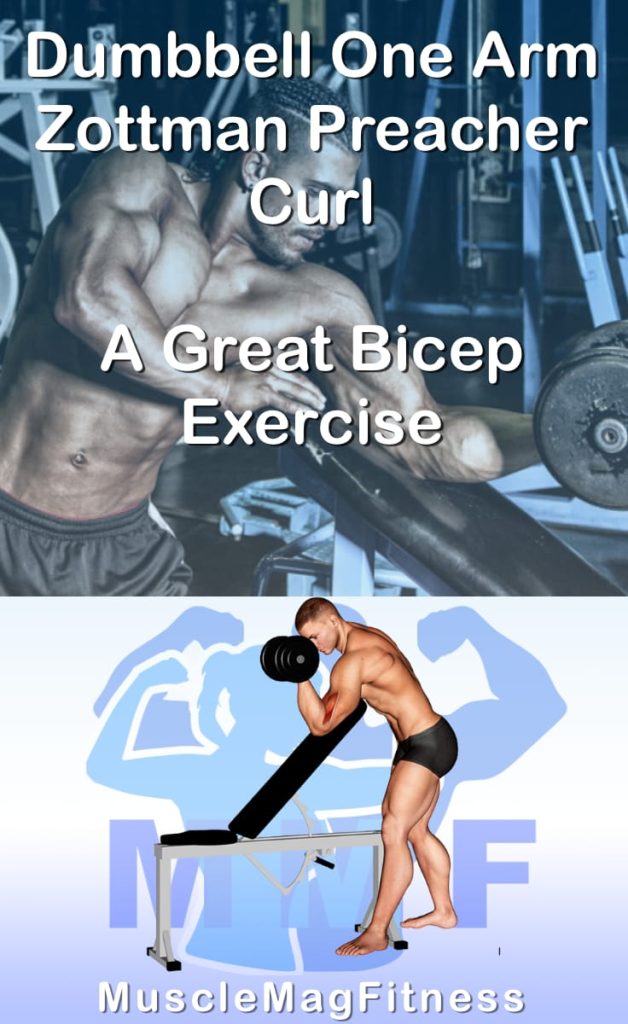 Pin image for dumbbell one arm zottman preacher curl post. With an image of a man performing the exercise on Top and a graphic of the exercise on the Bottom.