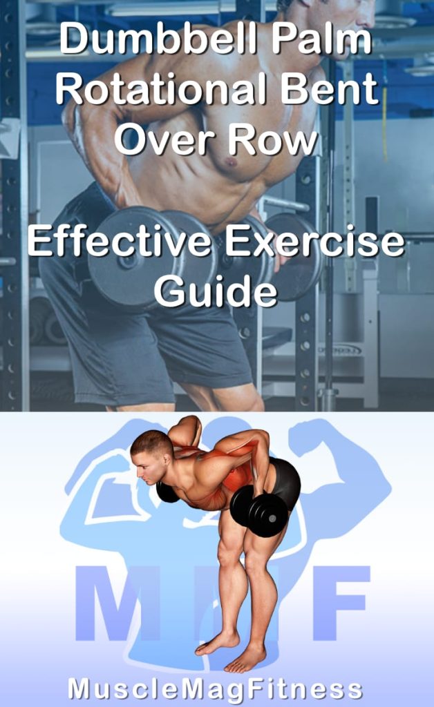 Pin image for dumbbell palm rotational bent over row post. With an image of a man performing the exercise on Top and a graphic of the exercise on the Bottom.