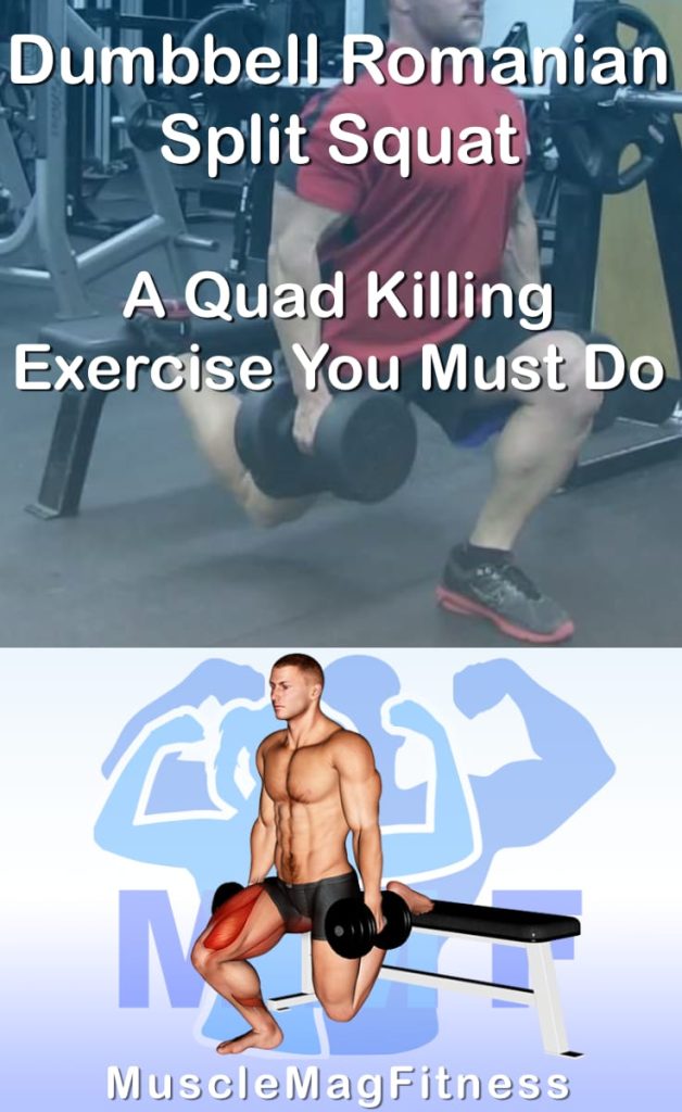 Pin image for dumbbell romanian split squat post. With an image of a man performing the exercise on Top and a graphic of the exercise on the Bottom.