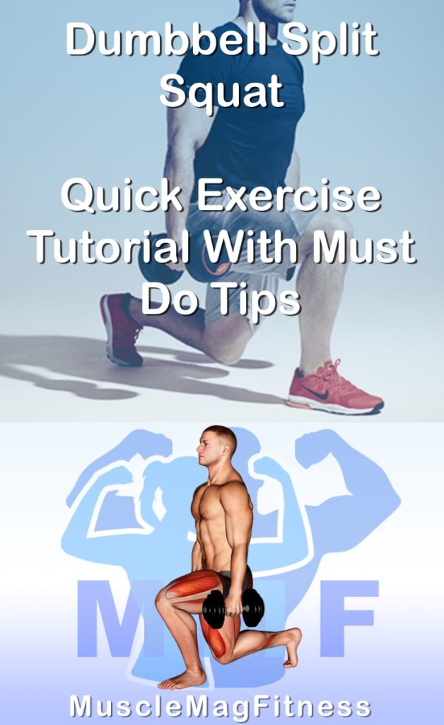 Pin image for dumbbell split squat post. With an image of a man performing the exercise on Top and a graphic of the exercise on the Bottom.