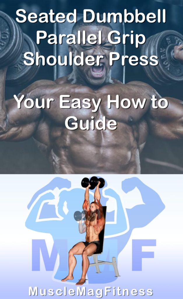Pin image for seated dumbbell parallel grip shoulder press post. With an image of a man performing the exercise on Top and a graphic of the exercise on the Bottom.