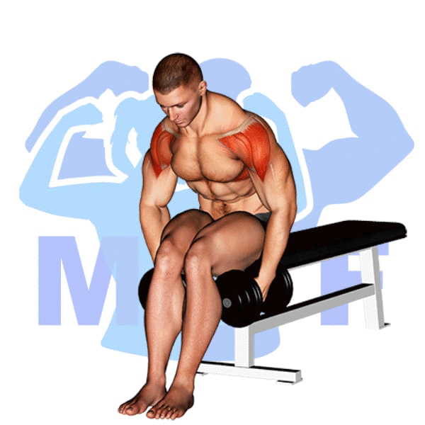 Man Performing Seated Dumbbell Lateral Raise