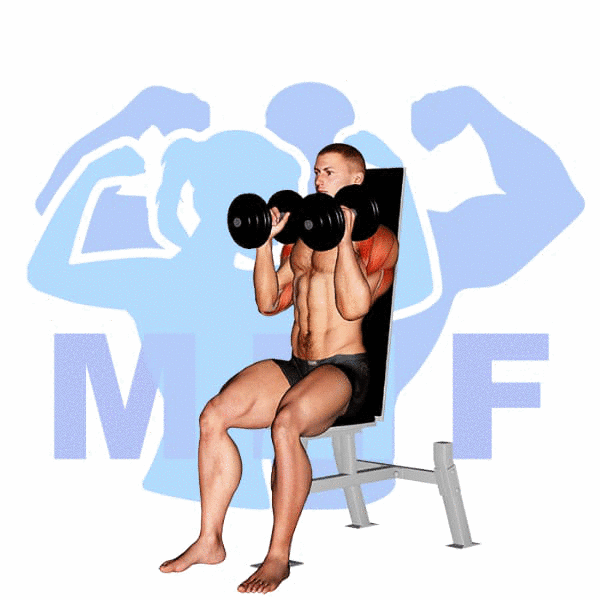 Man Performing Seated Dumbbell Parallel Grip Shoulder Pres