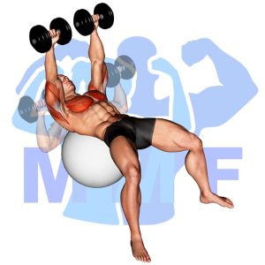 Graphic image of Stability Ball Dumbbell Chest Press.