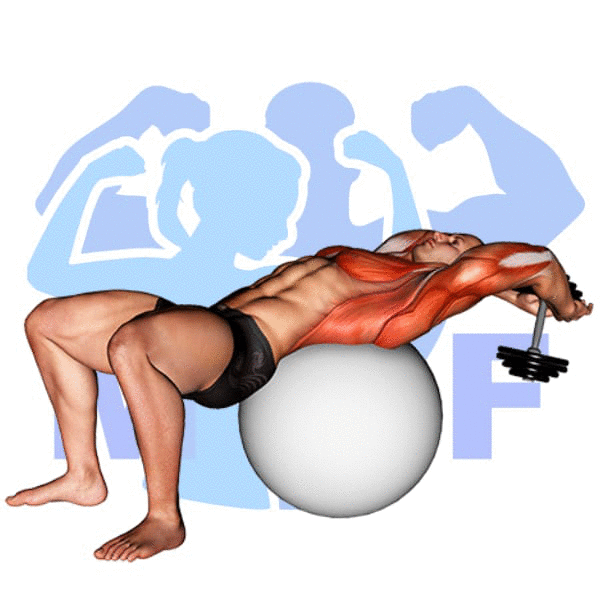 Man Performing Stability Ball Dumbbell Pullover